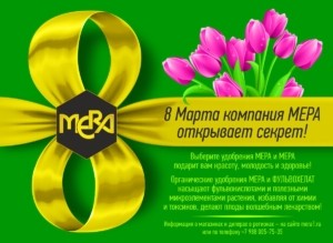 Группа компаний МЕРА поздравляет милых дам с 8 марта!
