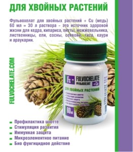 Фульвохелат для хвойных - эффективный препарат, способный подарить здоровье и красоту растениям
