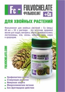 Фульвохелат для хвойных - эффективный препарат, способный подарить здоровье и красоту растениям