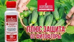 АГРОМЕРА ПЛЮС ЗАЩИТА – 50 литров защиты от фитофторы.