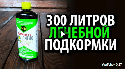 300 литров лечебной подкормки
