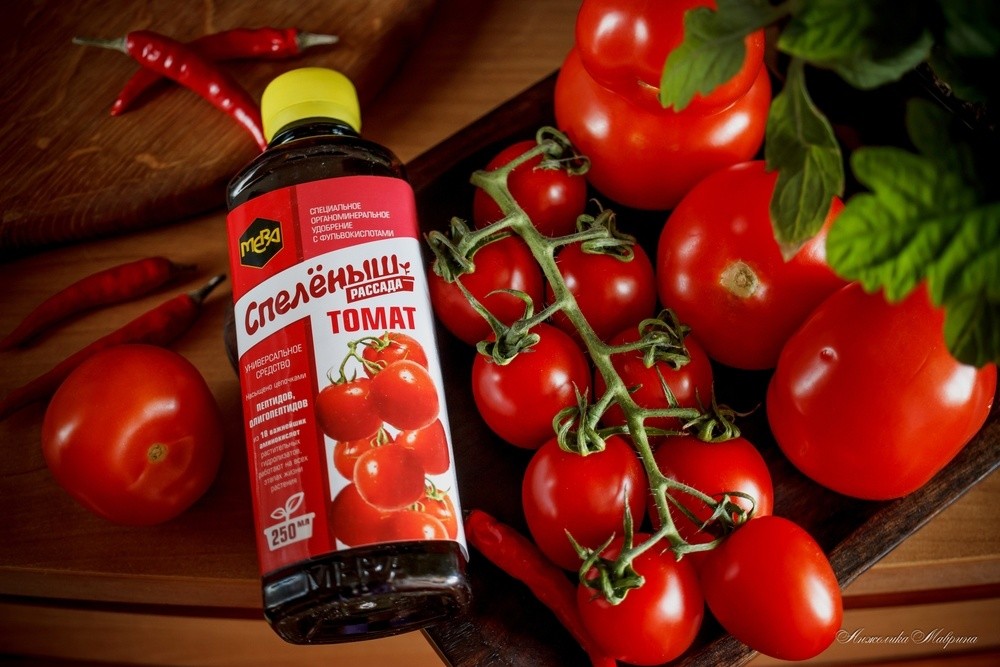 Чем подкормить рассаду томатов? - Удобрения МЕРА