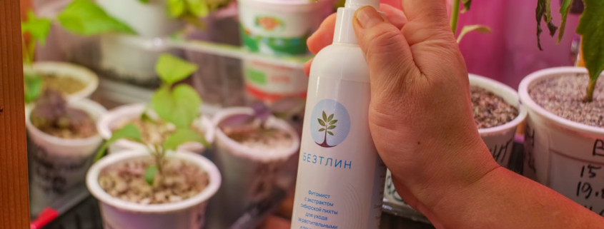 БЕЗТЛИН - как хвойная химия настраивает среду вокруг растения