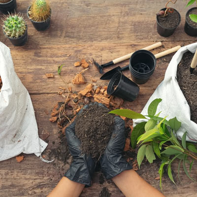 AGROMERA плюс ЗАЩИТА ПЕРЕСАДКА – Ваш личный эксперт по уходу за растениями